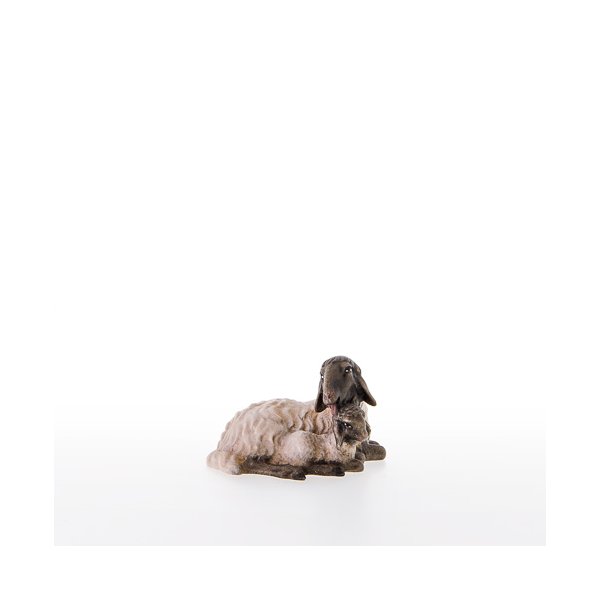 LP21207-AS - Pecora con testa nera e agnello