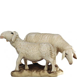 20DA150027024 - Gruppo di pecore