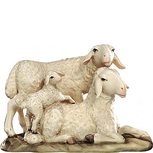 20DA150028015 - Gruppo di pecore con agnello