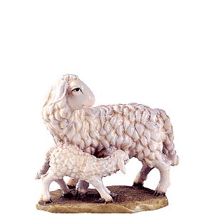 DU4048Lasiert18 - Pecora con agnello B.K.