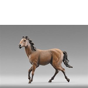 HD236401Bcolor12 - Cavallo marrone