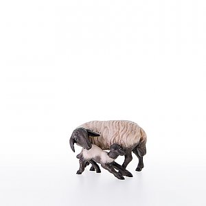 LP21200-ASColor16 - Pecora con agnello e testa nera